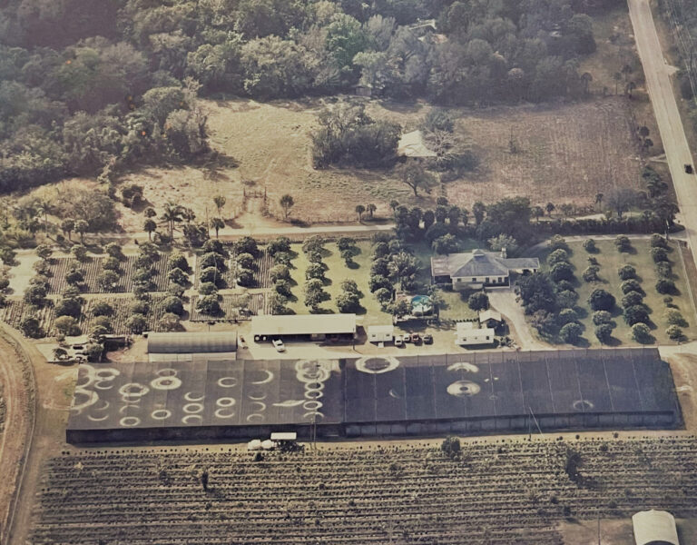 Green Tropical Nursery Homestead Location Historical Photo 1976