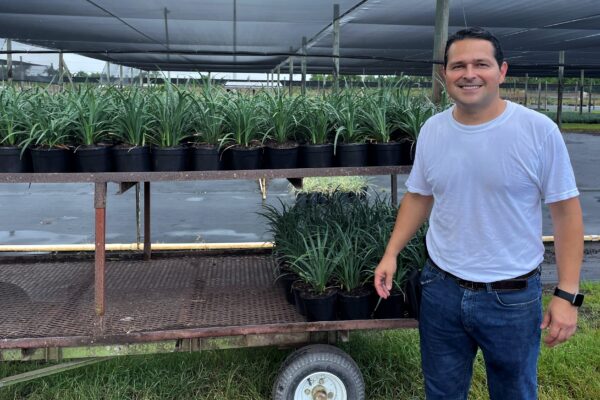 Green Tropical Nursery Location Homestead Trays of Big Blue Liriope Monkey Grass Muscari Retail Wholesale Team Picture z23