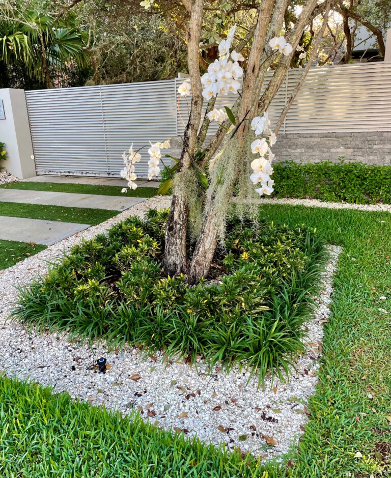 Design With Liriope Green Tropical Nursery Farm   We Have Many Varieties Of Liriope On Hand And Can Get Any Type You Desire. Typically Available In Trays 1 Gal 3 Gal Sizes. 768x939 