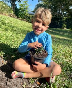 William Neblett planting Liriope and mondo grass